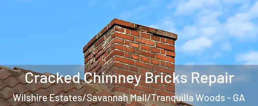 Cracked Chimney Bricks Repair Wilshire Estates/Savannah Mall/Tranquilla Woods - GA