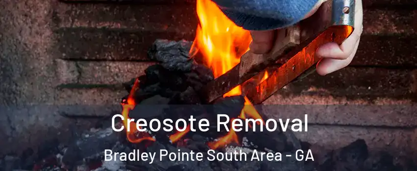 Creosote Removal Bradley Pointe South Area - GA