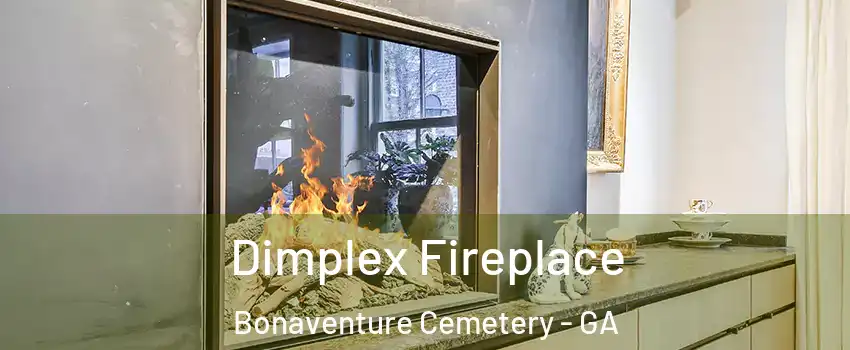 Dimplex Fireplace Bonaventure Cemetery - GA