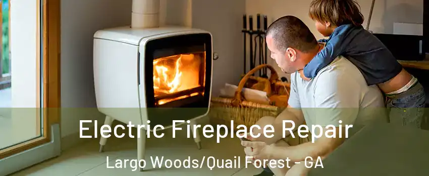 Electric Fireplace Repair Largo Woods/Quail Forest - GA