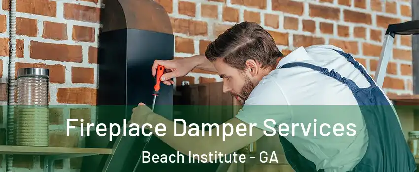 Fireplace Damper Services Beach Institute - GA