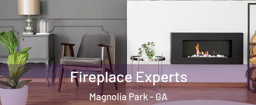 Fireplace Experts Magnolia Park - GA