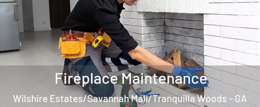 Fireplace Maintenance Wilshire Estates/Savannah Mall/Tranquilla Woods - GA