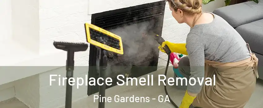 Fireplace Smell Removal Pine Gardens - GA