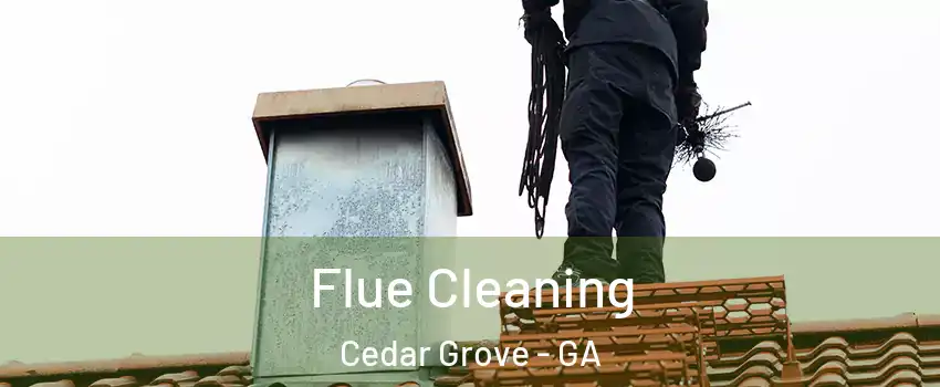 Flue Cleaning Cedar Grove - GA