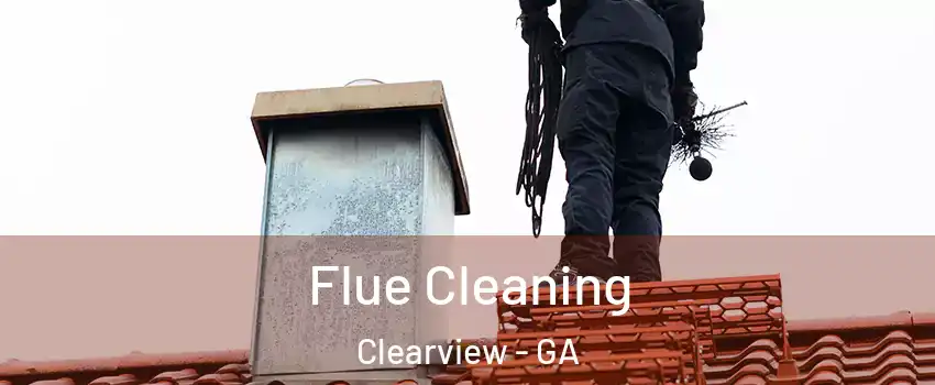 Flue Cleaning Clearview - GA