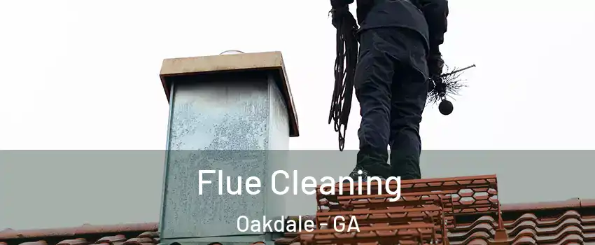 Flue Cleaning Oakdale - GA