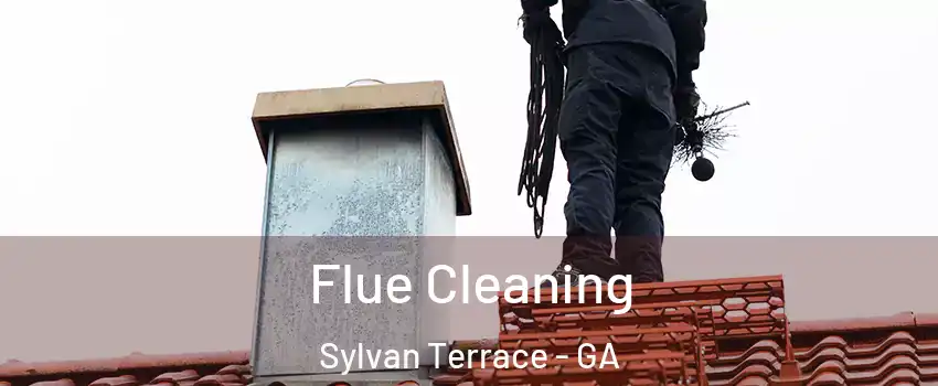 Flue Cleaning Sylvan Terrace - GA