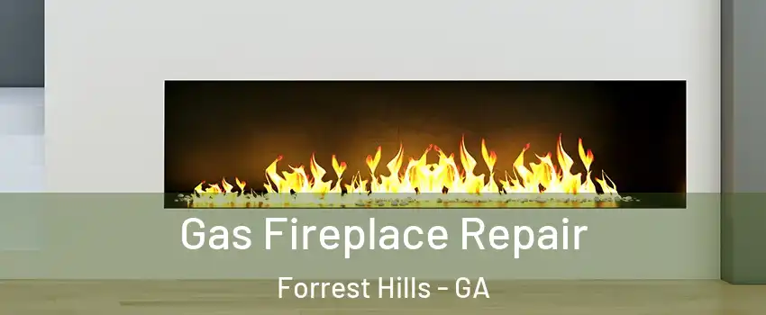 Gas Fireplace Repair Forrest Hills - GA