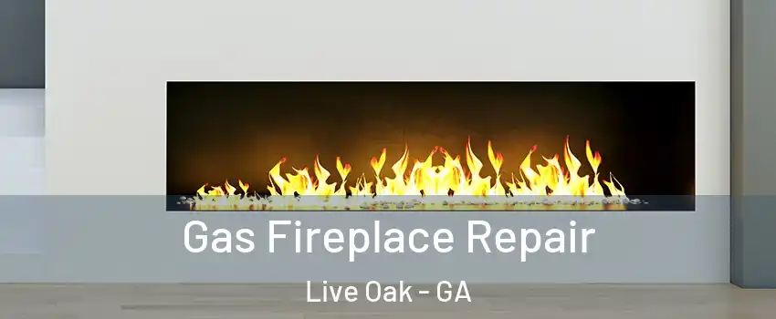 Gas Fireplace Repair Live Oak - GA