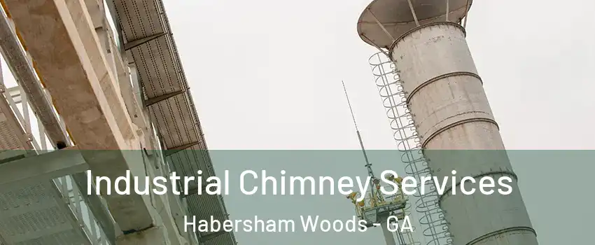 Industrial Chimney Services Habersham Woods - GA