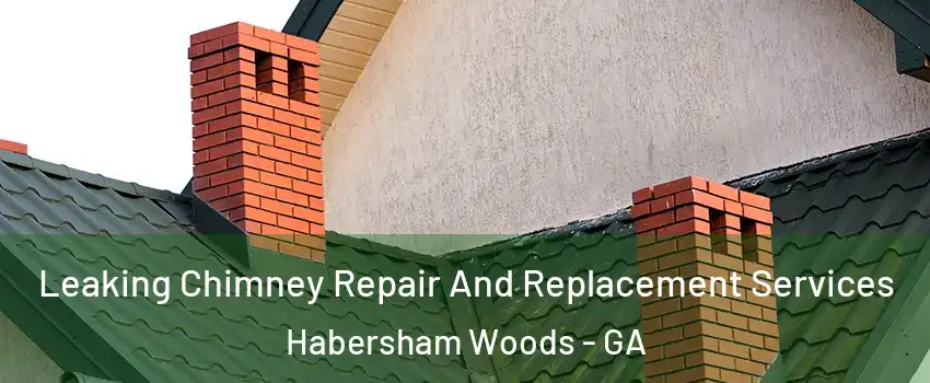 Leaking Chimney Repair And Replacement Services Habersham Woods - GA