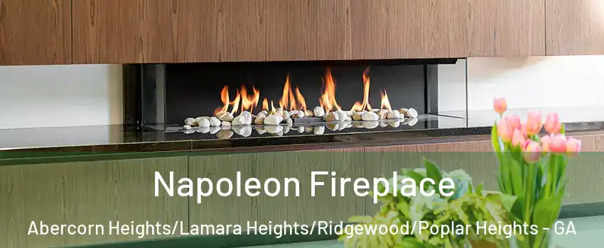 Napoleon Fireplace Abercorn Heights/Lamara Heights/Ridgewood/Poplar Heights - GA