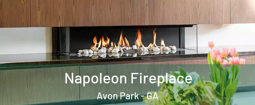 Napoleon Fireplace Avon Park - GA