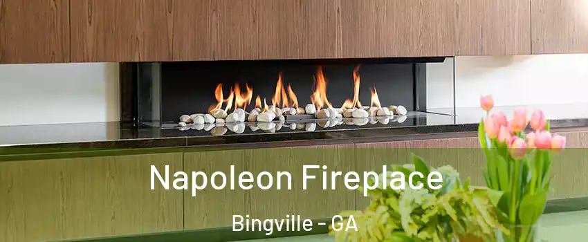 Napoleon Fireplace Bingville - GA