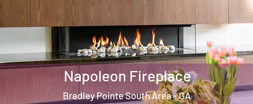 Napoleon Fireplace Bradley Pointe South Area - GA