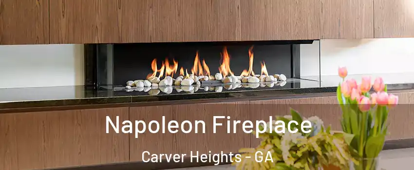 Napoleon Fireplace Carver Heights - GA