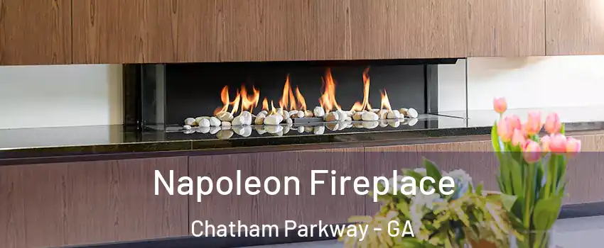 Napoleon Fireplace Chatham Parkway - GA