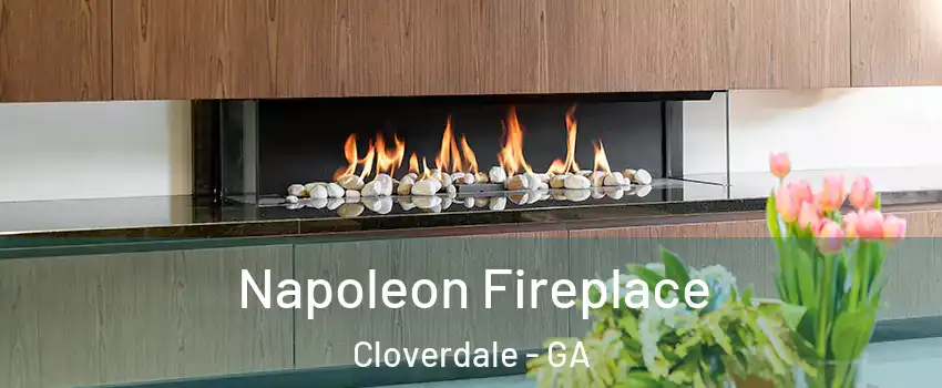 Napoleon Fireplace Cloverdale - GA