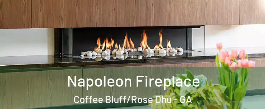 Napoleon Fireplace Coffee Bluff/Rose Dhu - GA