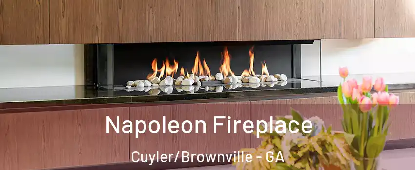 Napoleon Fireplace Cuyler/Brownville - GA