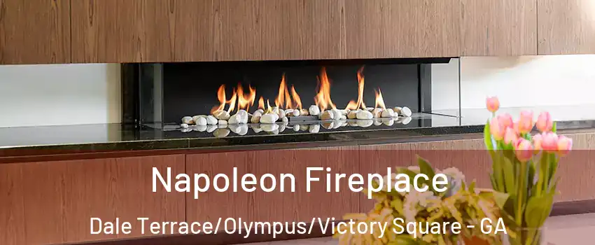 Napoleon Fireplace Dale Terrace/Olympus/Victory Square - GA