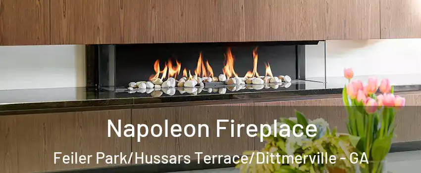 Napoleon Fireplace Feiler Park/Hussars Terrace/Dittmerville - GA