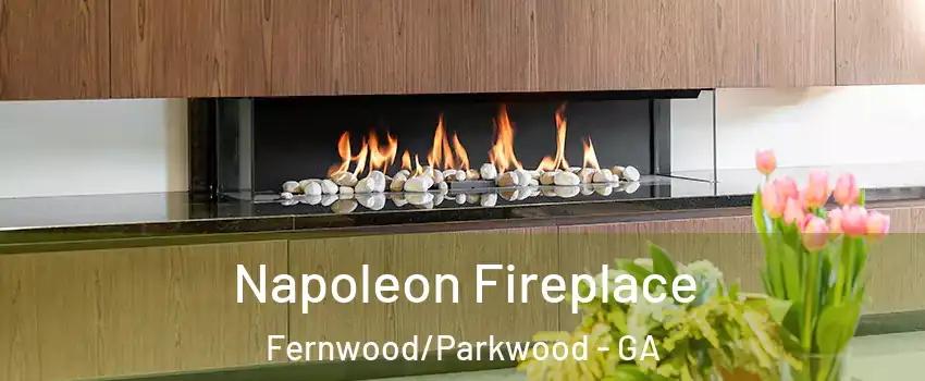 Napoleon Fireplace Fernwood/Parkwood - GA