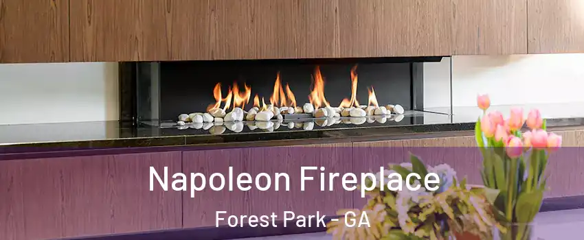 Napoleon Fireplace Forest Park - GA