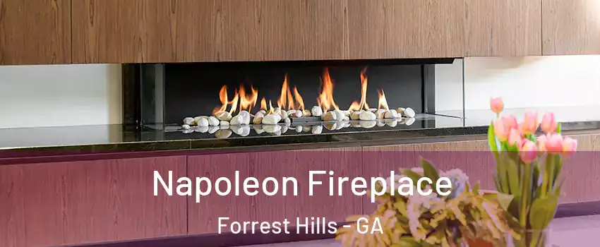 Napoleon Fireplace Forrest Hills - GA