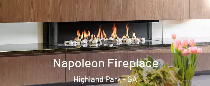 Napoleon Fireplace Highland Park - GA