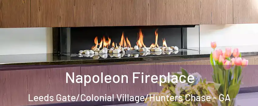 Napoleon Fireplace Leeds Gate/Colonial Village/Hunters Chase - GA