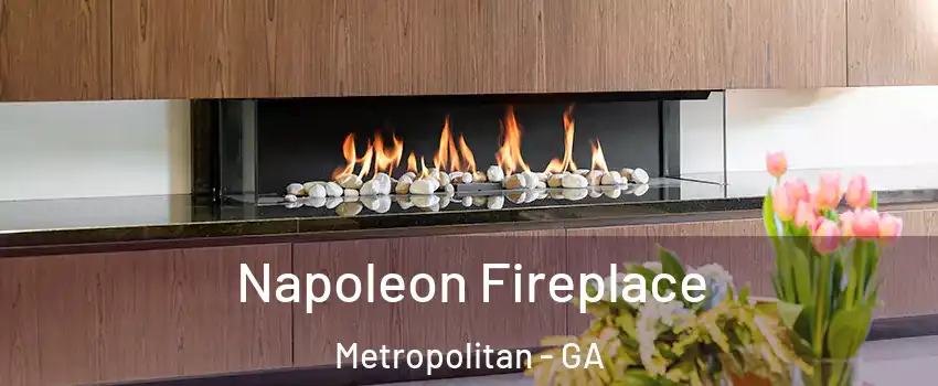 Napoleon Fireplace Metropolitan - GA