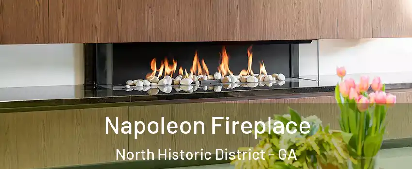 Napoleon Fireplace North Historic District - GA