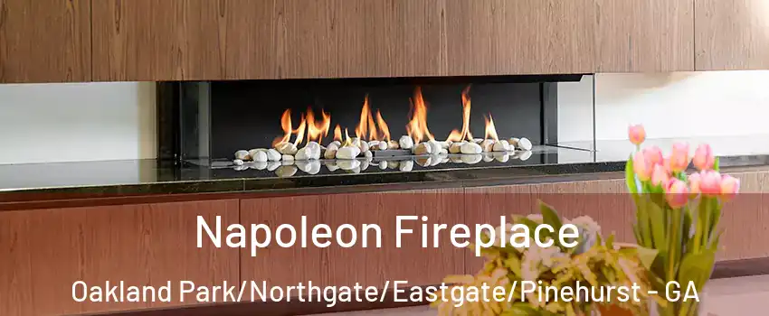 Napoleon Fireplace Oakland Park/Northgate/Eastgate/Pinehurst - GA