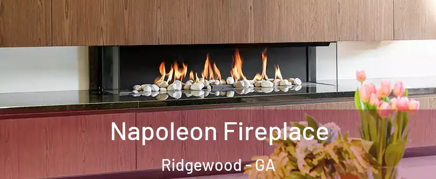 Napoleon Fireplace Ridgewood - GA