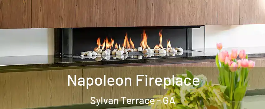 Napoleon Fireplace Sylvan Terrace - GA