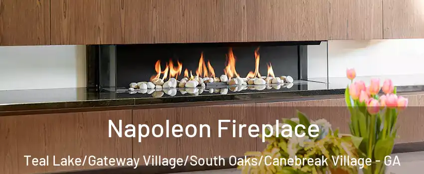 Napoleon Fireplace Teal Lake/Gateway Village/South Oaks/Canebreak Village - GA