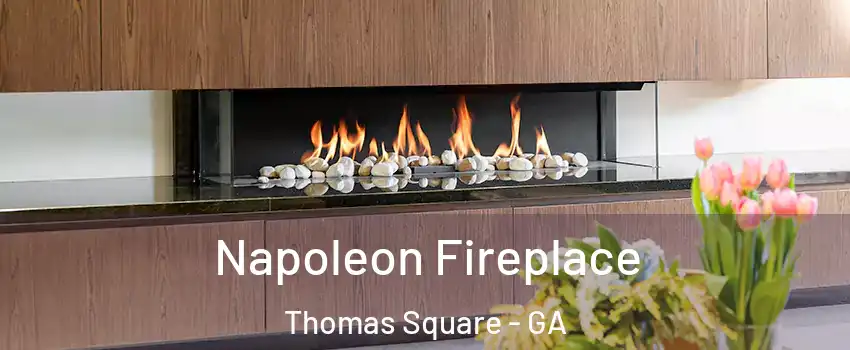 Napoleon Fireplace Thomas Square - GA