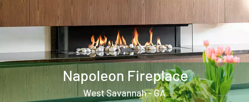 Napoleon Fireplace West Savannah - GA