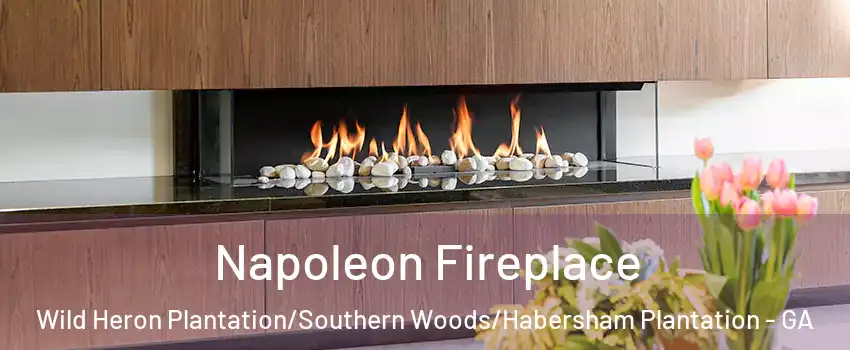 Napoleon Fireplace Wild Heron Plantation/Southern Woods/Habersham Plantation - GA