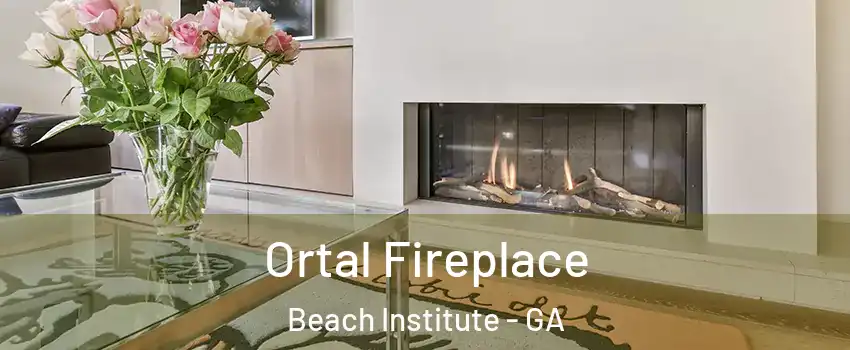 Ortal Fireplace Beach Institute - GA