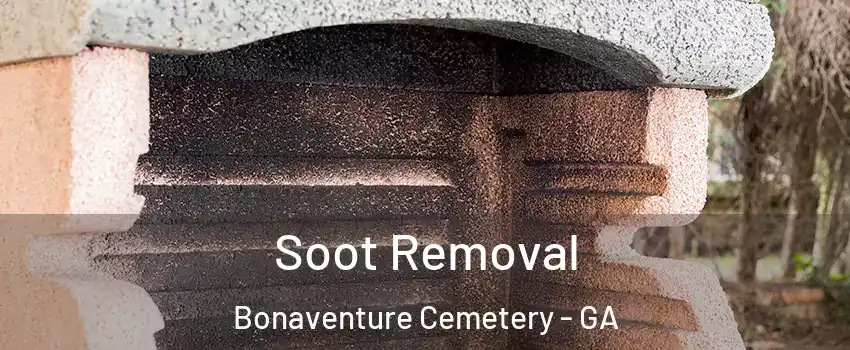 Soot Removal Bonaventure Cemetery - GA