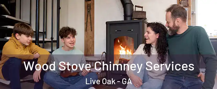 Wood Stove Chimney Services Live Oak - GA