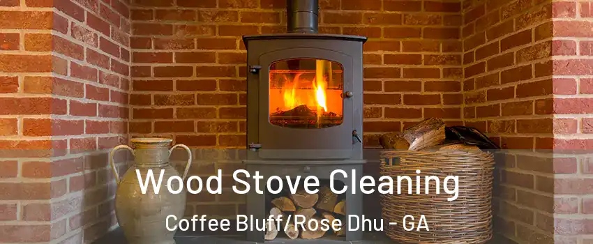 Wood Stove Cleaning Coffee Bluff/Rose Dhu - GA