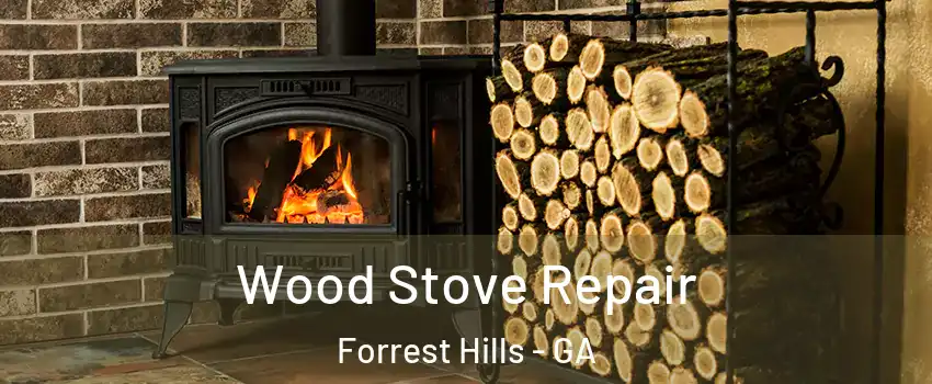 Wood Stove Repair Forrest Hills - GA