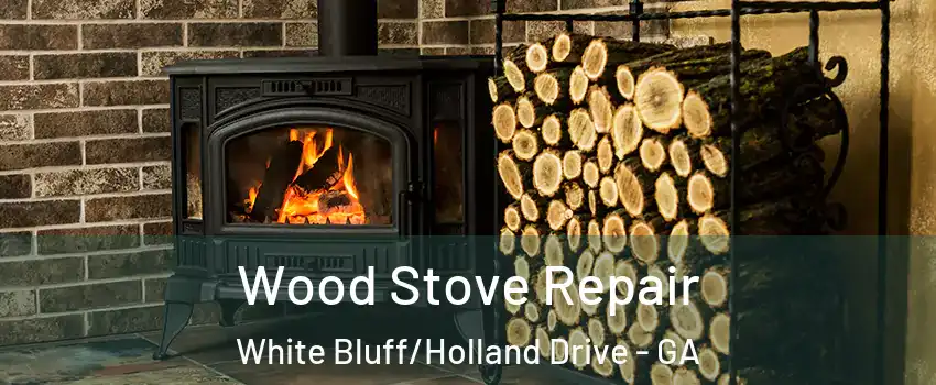 Wood Stove Repair White Bluff/Holland Drive - GA